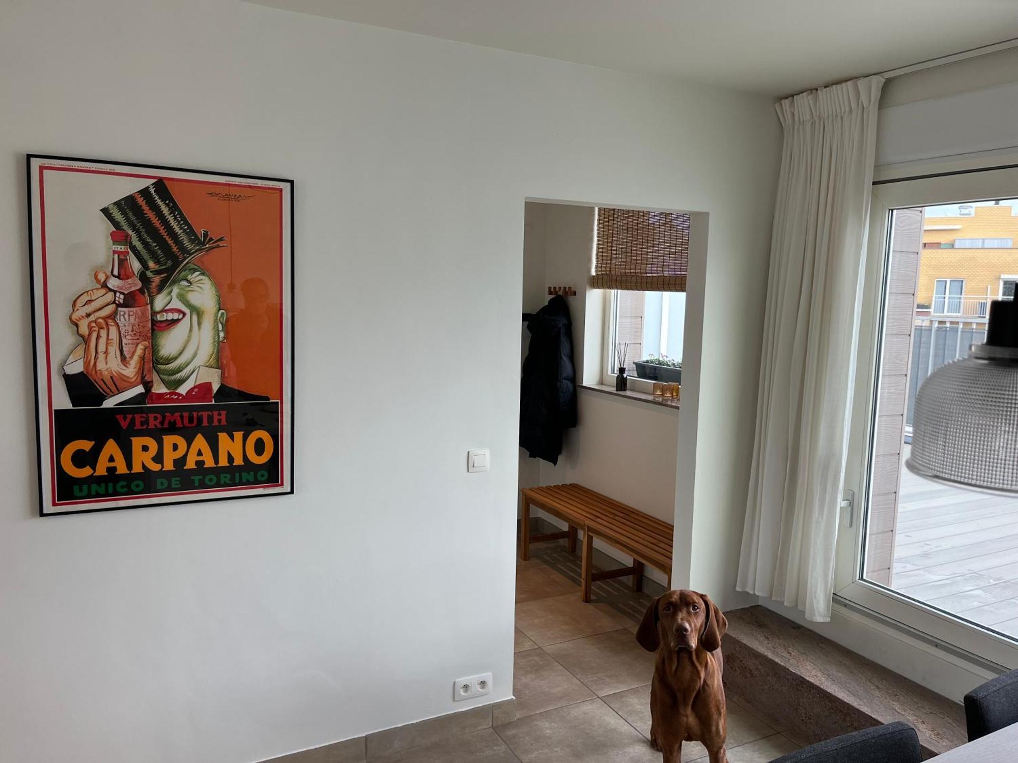 Apartamento Penthouse 29 Ostende Exterior foto